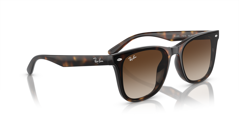 Ray-Ban Sunglasses RB4420-710/13
