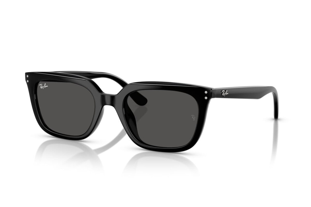 Ray-Ban Sunglasses RB4439D-901/87