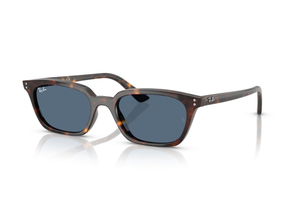 Ray-Ban Okulary przeciwsłoneczne ZAYA RB4456-135980