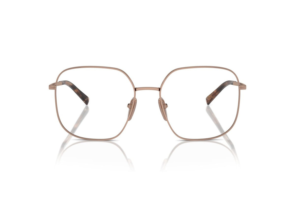 Prada Optical frame PR A59V-ZVF1O1