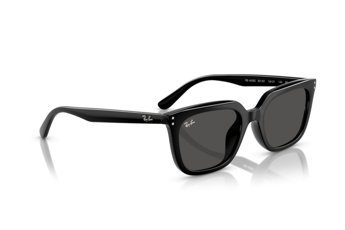 Ray-Ban Sunglasses RB4439D-901/87