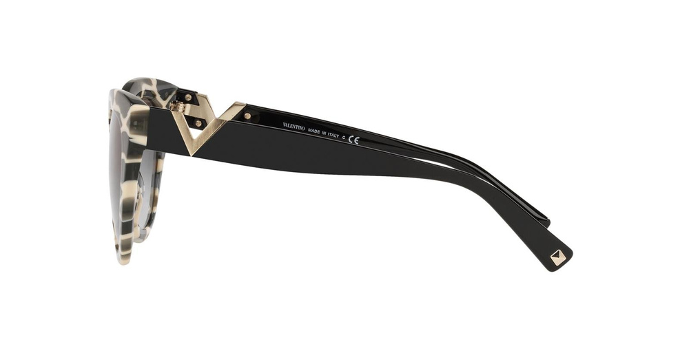 Valentino Sunglasses VA4089-514913