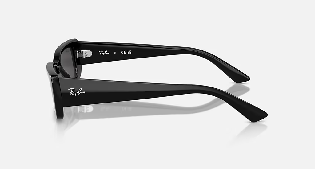 Ray-Ban Sunglasses TERU RB4425-667787