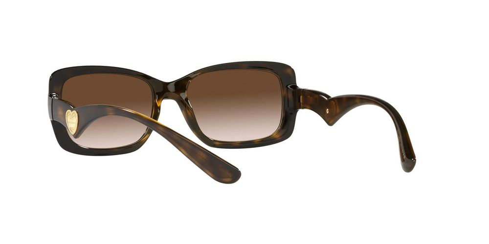Dolce & Gabbana Sunglasses DG6152-502/13