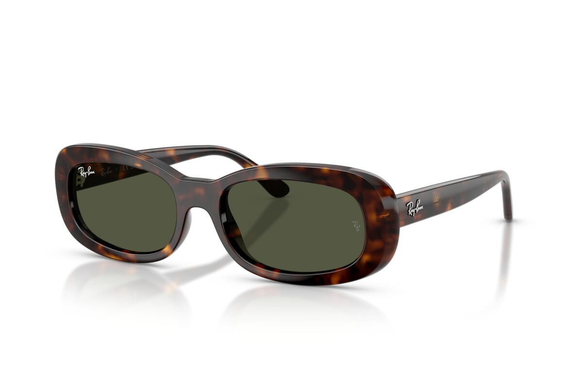 Ray-Ban Sunglasses RB2221-902/31