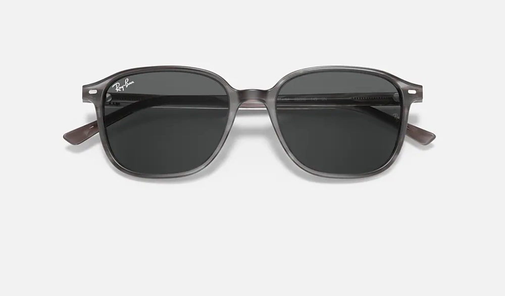 Ray-Ban Sunglasses LEONARD RB2193-1314B1