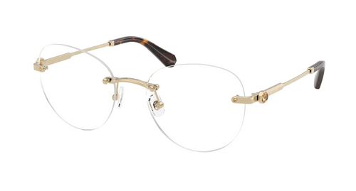 Swarovski Optical frame SK1021-4013