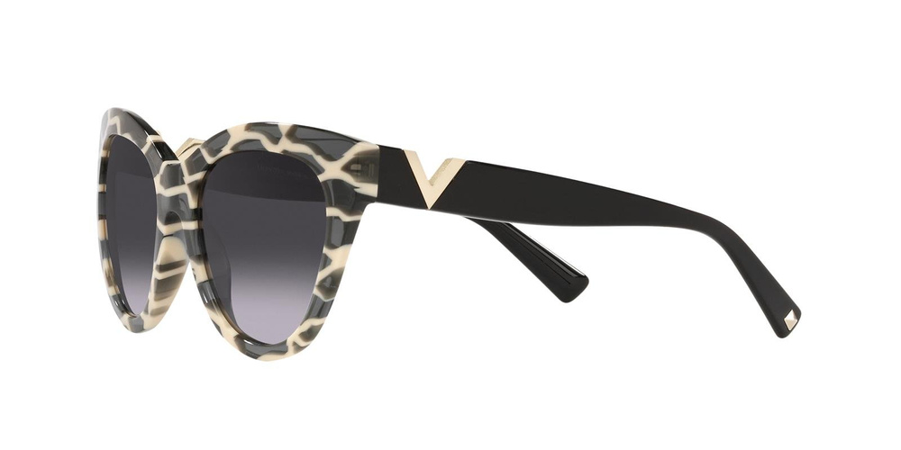 Valentino Sunglasses VA4089-514913