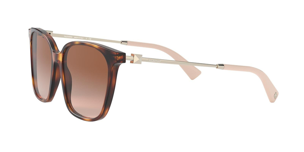 Valentino Sunglasses VA4078-501113