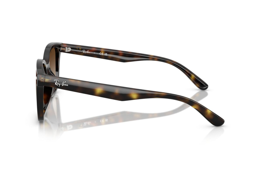 Ray-Ban Okulary przeciwsłoneczne RB4461D-710/13