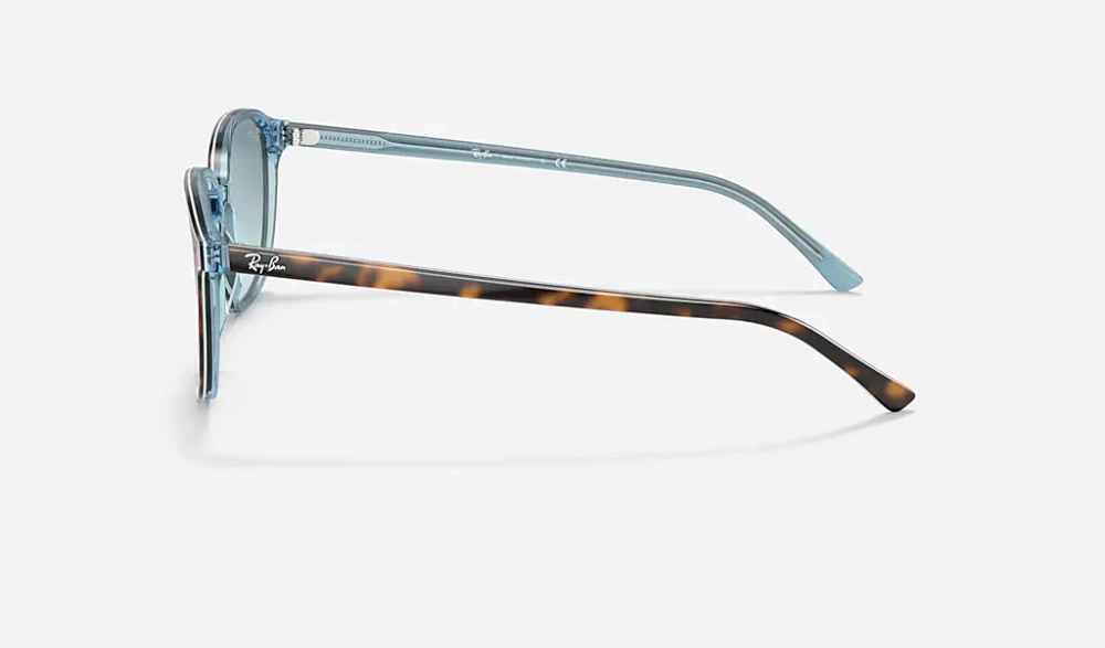 Ray-Ban Sunglasses LEONARD RB2193-13163M