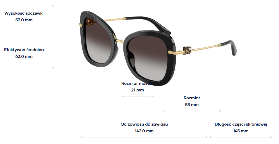Dolce & Gabbana Sunglasses DG4535-501/8G