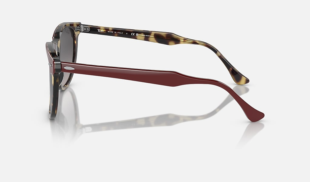 Ray-Ban Okulary przeciwsłoneczne EAGLEEYE RB2398-1377M3