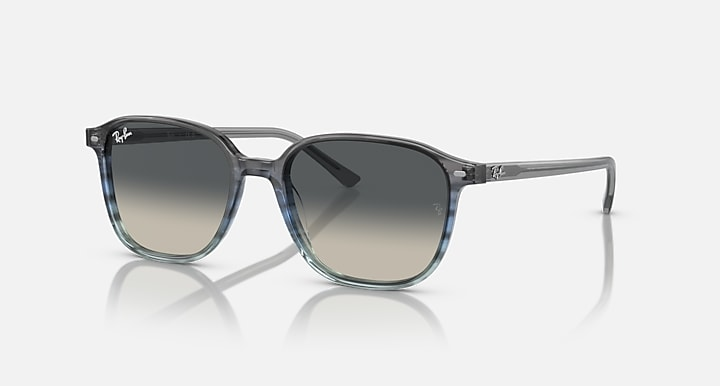 Ray-Ban Sunglasses LEONARD RB2193-138171