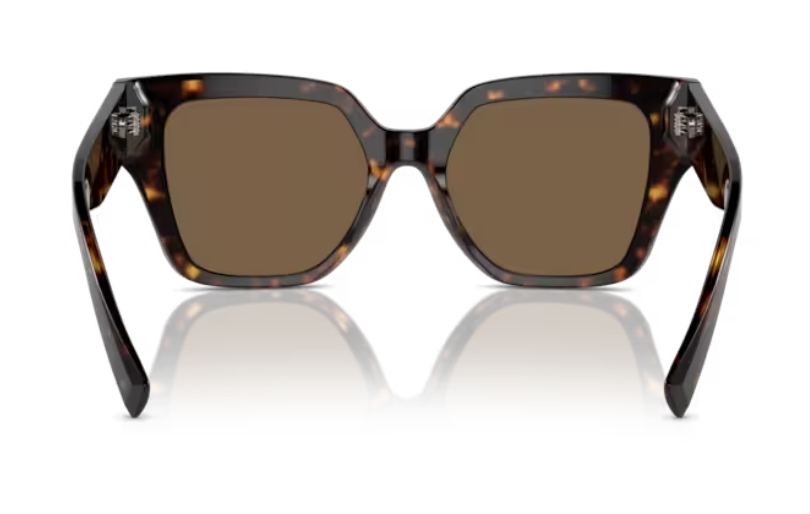 Dolce & Gabbana Sunglasses DG4471-502/73