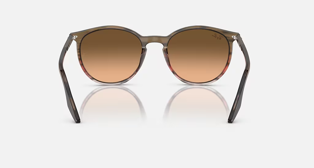 Ray-Ban Sunglasses RB2204-13953B