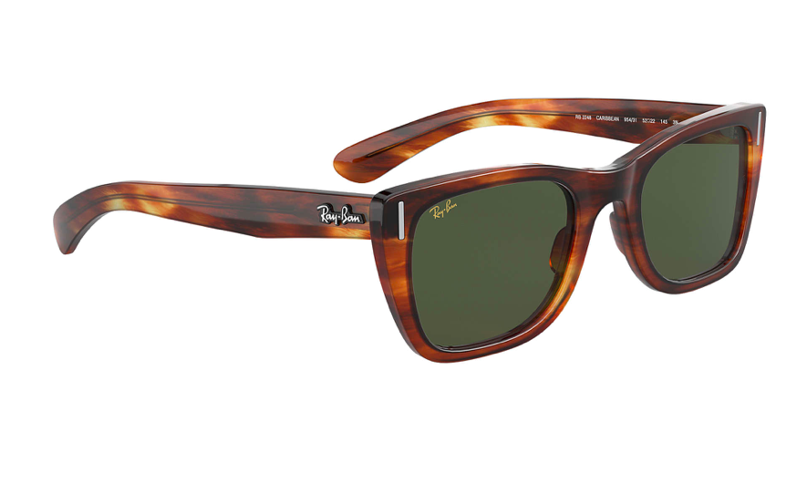 Ray-Ban Sunglasses RB2248-954/31
