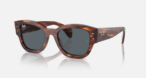 Ray-Ban Sunglasses JORGE RB7681S-954/R5