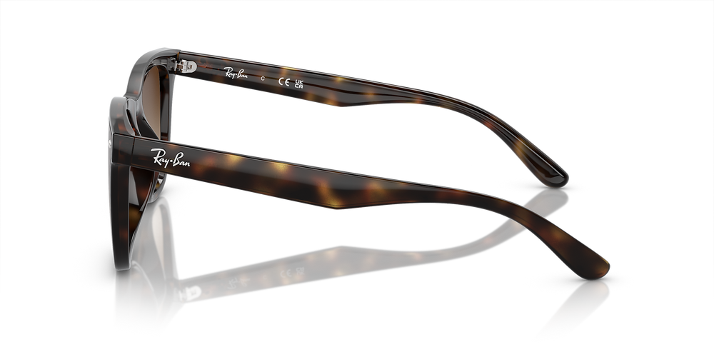 Ray-Ban Sunglasses RB4420-710/13