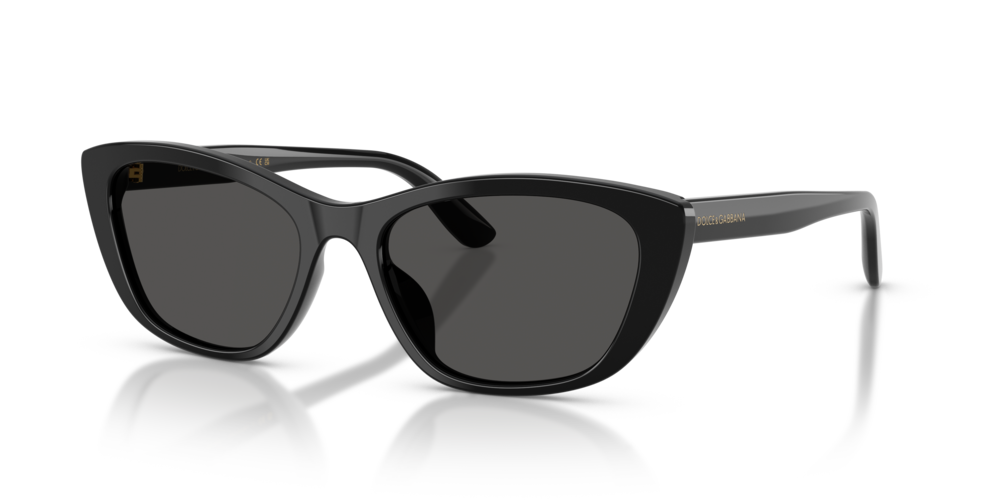 DOLCE & GABBANA Sunglasses DG4571-501/87