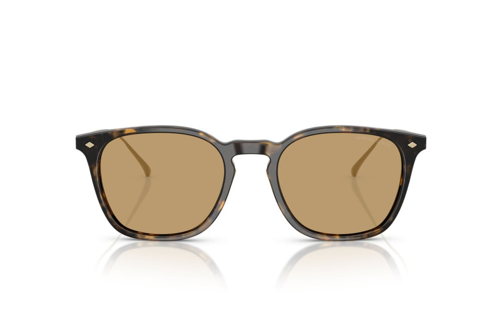 Giorgio Armani Sunglasses AR8226T-620773