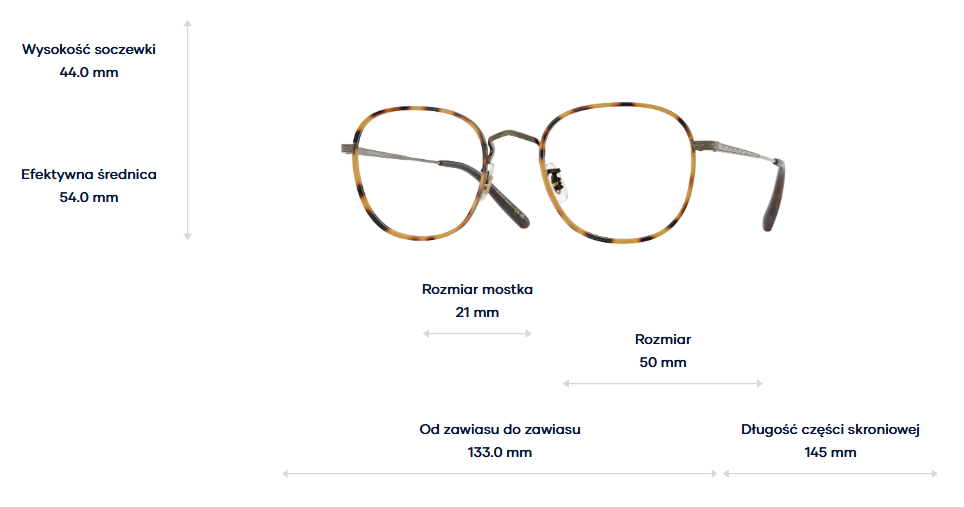 Oliver Peoples Okulary korekcyjne MEHR OV1375T-5284
