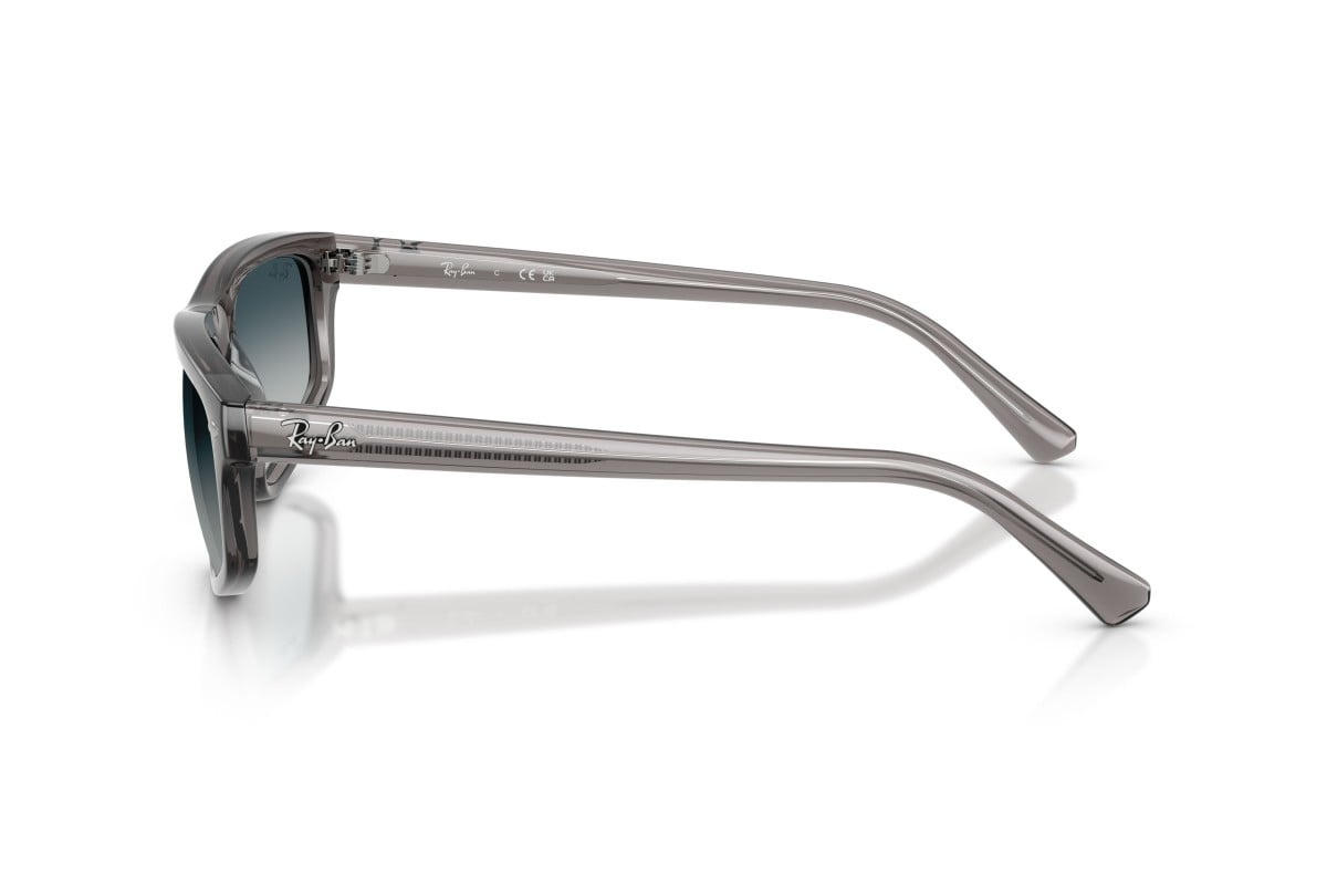 Ray-Ban Sunglasses RB2225-667532