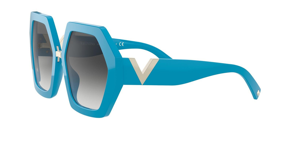 Valentino Sunglasses VA4053-51738G