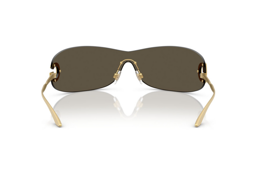 Dolce & Gabbana Sunglasses DG2308-12246E