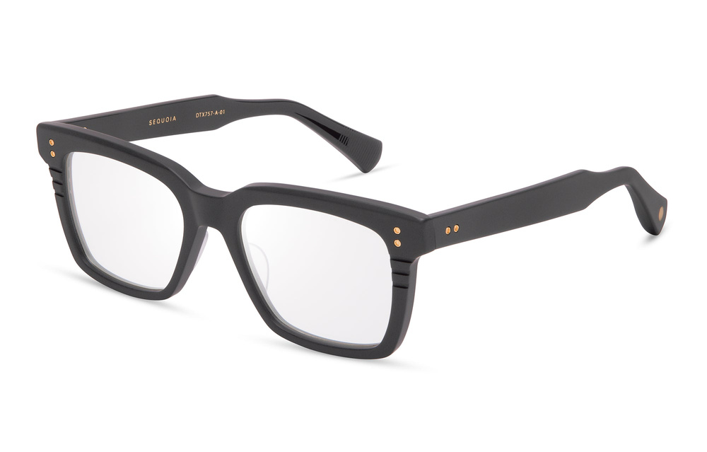 Dita Okulary korekcyjne SEQUOIA DTX757-A-01