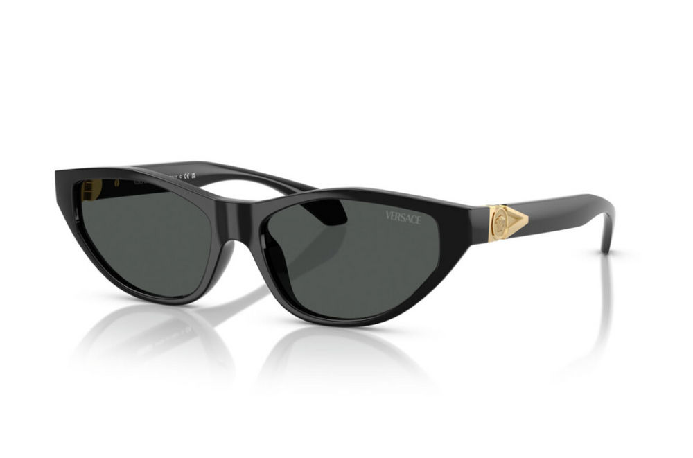 Versace Okulary przeciwsłoneczne VE4491U-GB1/87