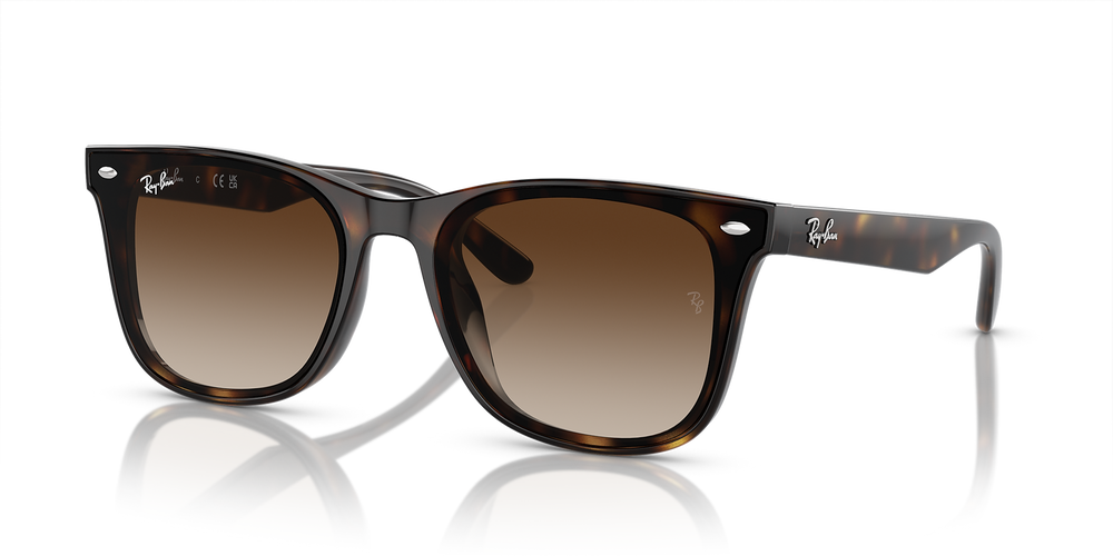 Ray-Ban Okulary przeciwsłoneczne RB4420-710/13