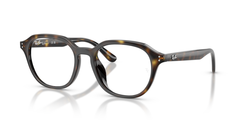 Ray-Ban Okulary korekcyjne RX7259D-2012