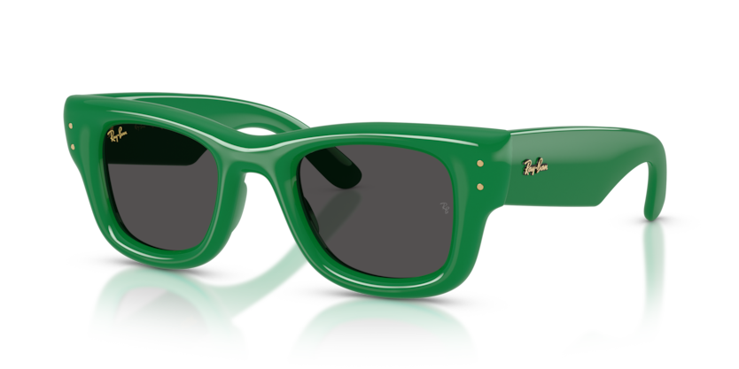 Ray-Ban x A$AP Rocky Okulary przeciwsłoneczne WAYFARER PUFFER RB4940-683487