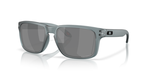 Oakley Okulary przeciwsłoneczne HOLBROOK Matte Crystal Black/Prizm Black Polarized OO9102-Z4