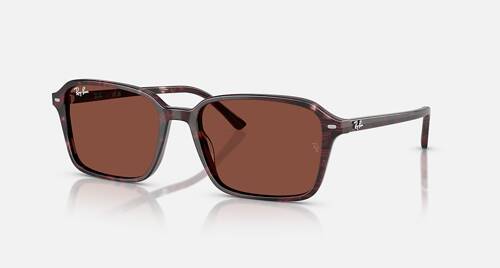 Ray-Ban Okulary przeciwsłoneczne RAIMOND RB2231-1416C5